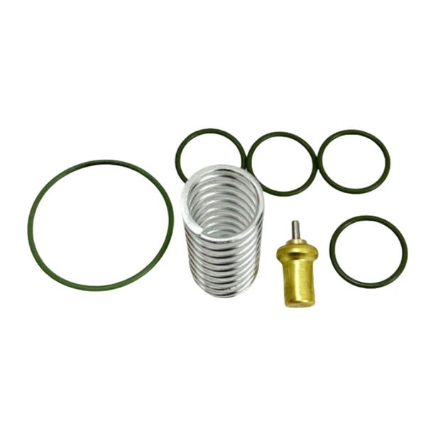 2205490592 Thermostatic Valve Kit Replacement for Atlas Copco Screw Air Compressor